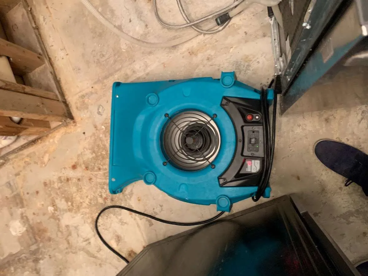 Air mover drying equipment for Mold Remediation & Removal in Apple Valley